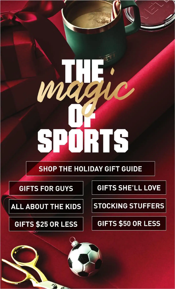 Dicks Sporting Goods 2020 Black Friday Ad Page 11