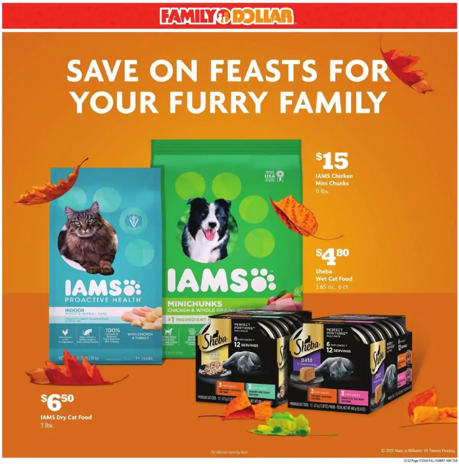 Family Dollar 2020 Black Friday Ad Page 21