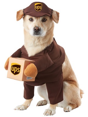 UPS Pal Costume for Pets