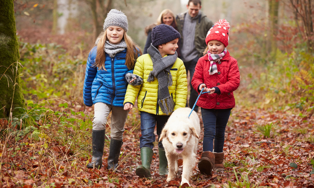 12 Inexpensive Fun Family Activities During The Fall Season
