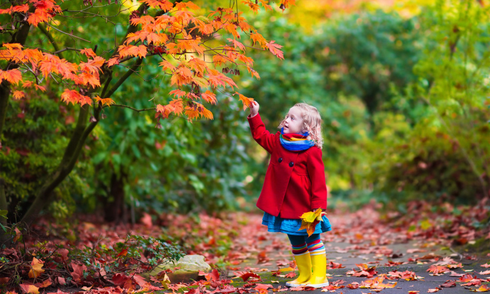 8 Reasons Fall is the Best Season of the Year