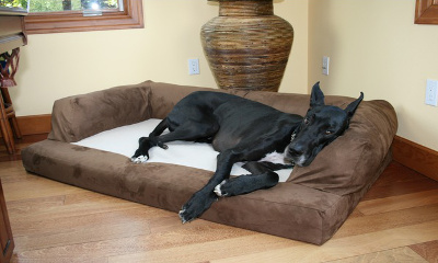 Hidden Valley Extra-large Baxter Orthopedic Dog Couch