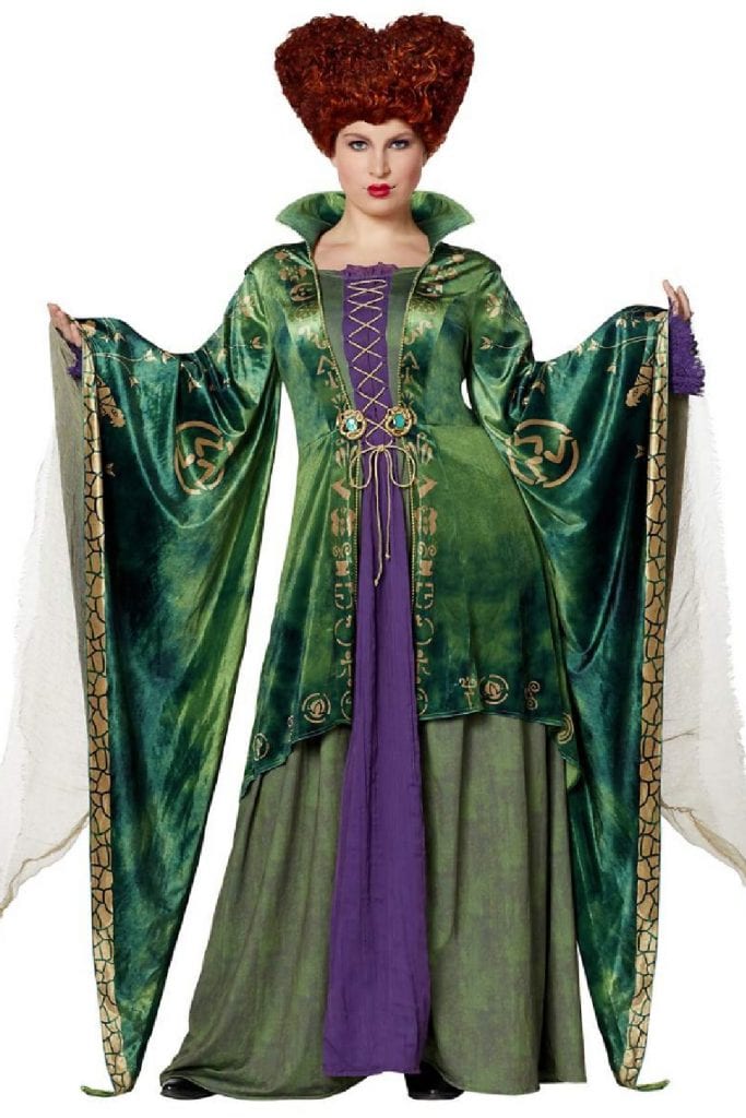 Disney Hocus Pocus Winifred Sanderson Plus Size Costume