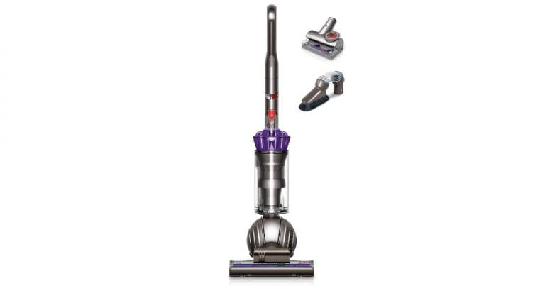 dyson small ball animal