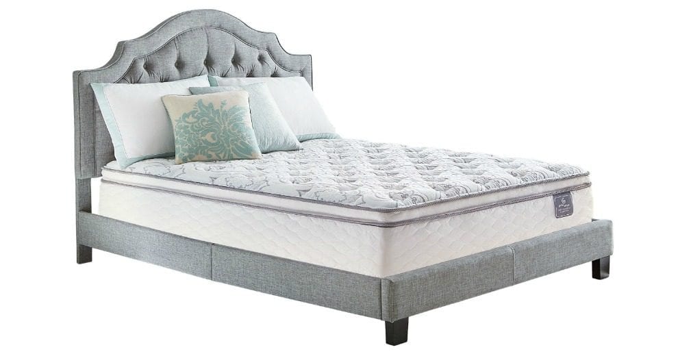qvc serra queen cache hotel pillow top mattress