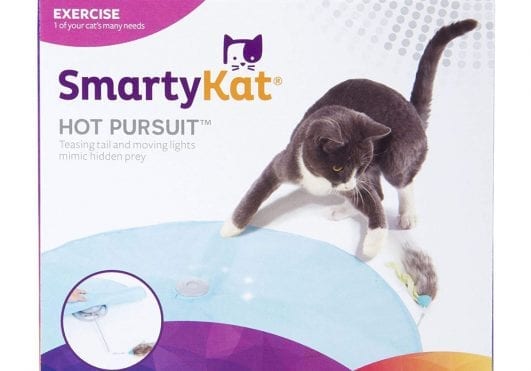 smartykat hot pursuit petco