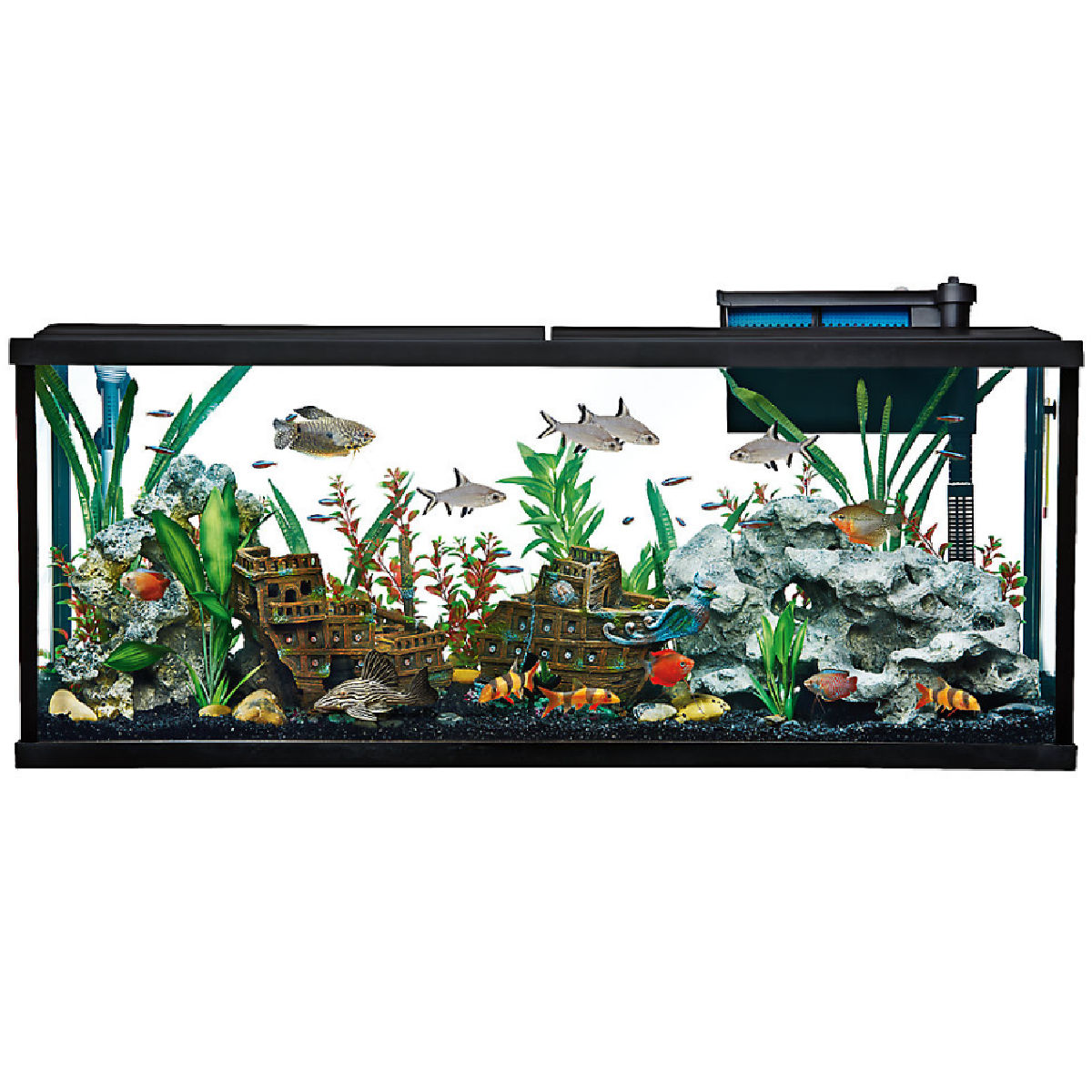 Top Fin Essentials 55-Gallon Aquarium Starter Kit