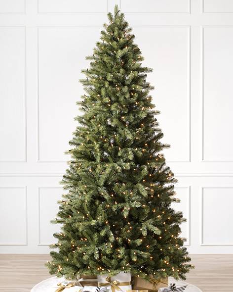 Bellevue Spruce (9' Clear LED)