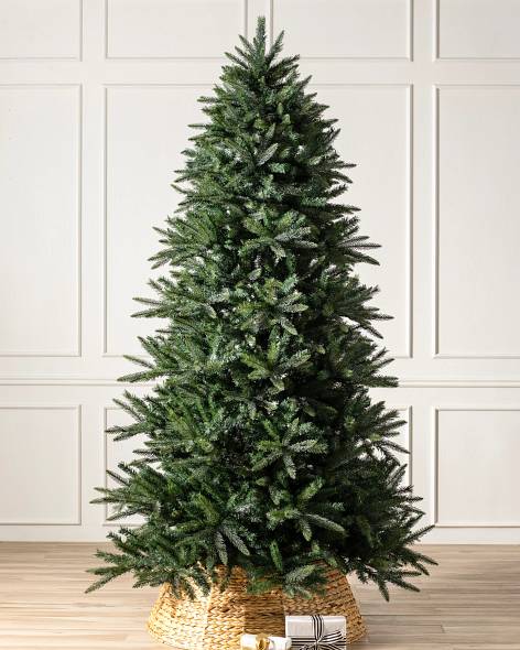 Mariana Spruce (6.5' Unlit with Simple String)
