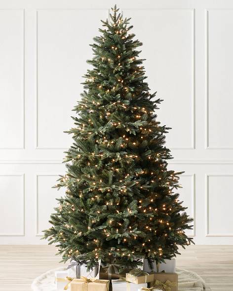 Saratoga Spruce Tree (9' Clear LED)