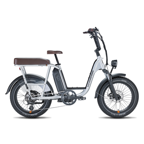 RadRunner Plus Electric Utility Bike