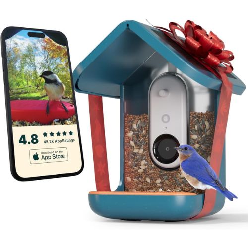 BIRD BUDDY Original Solar Bird Feeder with Camera